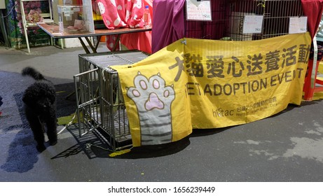 TAIPEI, TAIWAN - December 07, 2019: A Pet Adoption Event At A Local Market In Taipei, Taiwan.