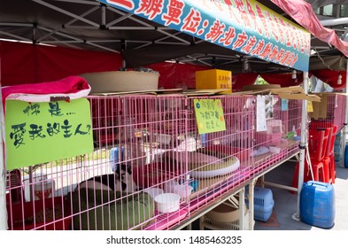 Taipei, Taiwan - May 12th, 2019:animal Adoption Organization With Cats And Dogs At Street In Taipei, Taiwan, Asia