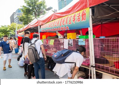 Taipei, Taiwan - May 12th, 2019:animal Adoption Organization With Cats And Dogs At Street In Taipei, Taiwan, Asia