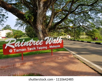 TAIPING, PERAK. May 7, 2018. Taman Tasik Is One Of The Main Attraction In Taiping Has Gone One Step Further To Make The Lake Garden More Pedestrians Friendly By Closing Part Of Jalan Pekeliling