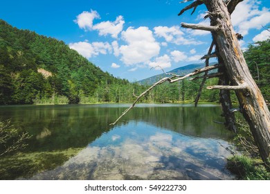 Taisho Pond Images Stock Photos Vectors Shutterstock