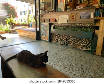 Taitung / Taiwan - Nov 1 2020: A Hostel Lobby At Dulan, Donghe Township.  House Cat In The Foreground