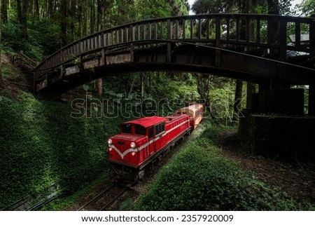 Taiwan ChiaYi Alishan Forest Railway passing under a bridge.