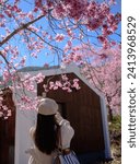 Taiwan Wuling Farm Cherry Blossom Tour. SHOTLISTtravel.