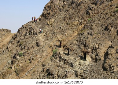 Taiz / Yemen - 02 Apr 2017: Women Bring Their Food And Drink Needs Through Rugged Mountain Roads Because Of Al-Houthi Militia Siege Of The Villages Of Jabal Habashi District In The West Of Taiz City