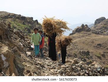 Taiz / Yemen - 02 Apr 2017: Women Bring Their Food And Drink Needs Through Rugged Mountain Roads Because Of Al-Houthi Militia Siege Of The Villages Of Jabal Habashi District In The West Of Taiz City