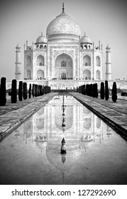 Black And White Taj Mahal India High Res Stock Images Shutterstock