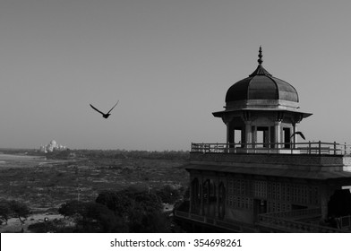 Black And White Taj Mahal India High Res Stock Images Shutterstock