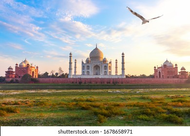 Taj Mahal, View From The Yamuna River, Agra, India