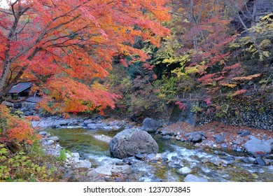 Takaragawa Onsen Hot Spring During Autumn In Gunma, Japan