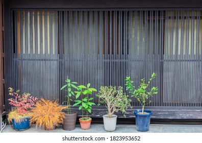 Takayama/Japan - November 18, 2019: A  Small Container Garden Near A Wooden House.