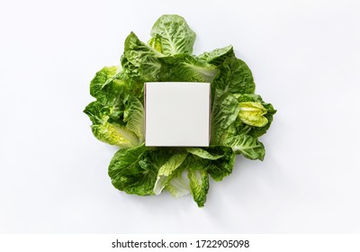 Take Away Box Burger On Salad Leaves