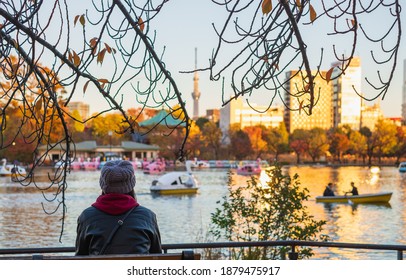 Take A Break At Ueno Park