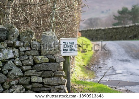 Take care lambs on the road sign