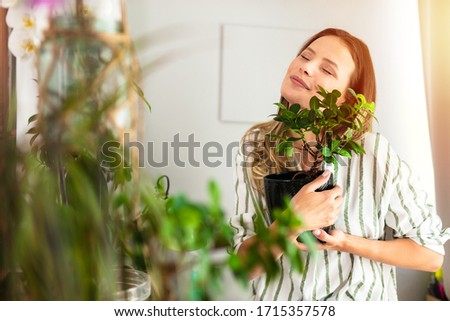 Similar – Woman makes wild flower pile at home