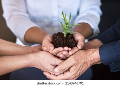 Take good care of your business and it will flourish. Shhot of a group of businesspeoples hands holding a young plant in soil.