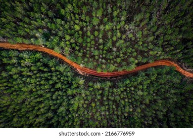 Take A Leaf Out Of Natures Book And Keep Growing. High Angle Shot A Dirt Road Winding Through A Forest.