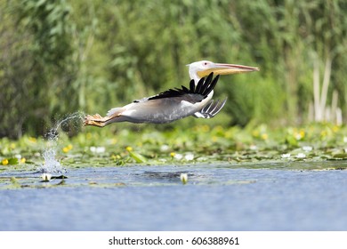 take off
