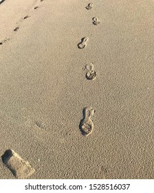 Take One Step At A Time. Foot Prints Found At Kuantan Beach.