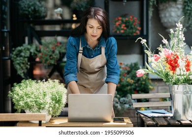 Take Order Online, Advice From Florist In Blog, Modern Small Business, Startup. Busy Young Female In Apron Works At Laptop Behind Counter Near Flower Shop With Bouquets At Vase And Basket At Workplace