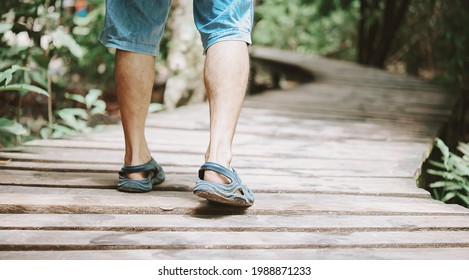 Take A Walk Through Nature On A Wooden Plank Walkway.