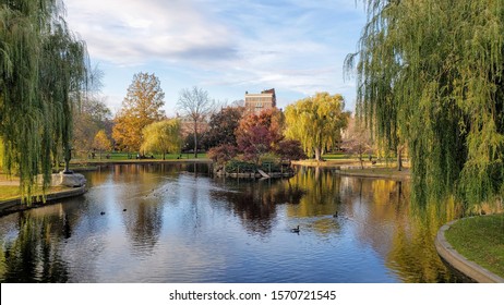 Taken From A Bridge Over The River In Boston Commons.