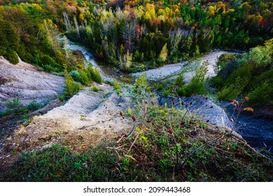 Taken During The Fall Season At The Rouge Toronto National Urban Park.