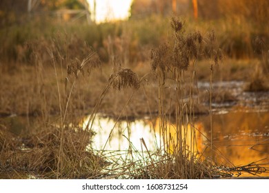  Taken At Golden Hour At Mcalpine Greenway In Charlotte North Carolina