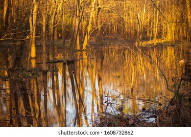 Taken At Golden Hour At Mcalpine Greenway In Charlotte North Carolina