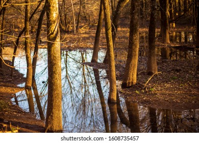 Taken At Golden Hour At Mcalpine Greenway In Charlotte North Carolina