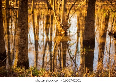 Taken At Golden Hour At Mcalpine Greenway In Charlotte North Carolina