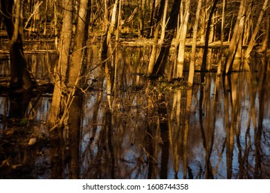 Taken At Golden Hour At Mcalpine Greenway In Charlotte North Carolina