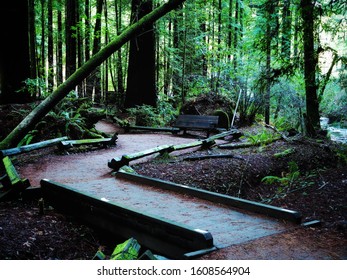 Taken January 4, 2020 Of A Path Over A Creek In Armstrong Redwoods State Natural Reserve T 17000 Armstrong Woods Road, Guerneville, California, USA 95446. Showing Redwoods In Wet Late Winter Afternoon