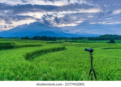 taken moment with camera beautiful sunrise at rice fields in bengkulu, indonesia