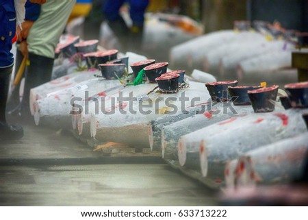 Taken at Tsukiji Fish Market in the Tuna Auction, carcasses of frozen Tuna on wooden pallets on display