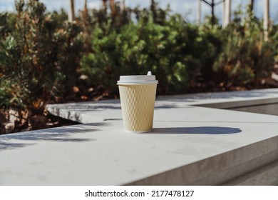 Take-out Coffee Paper Cup On Stone Bench In Business District