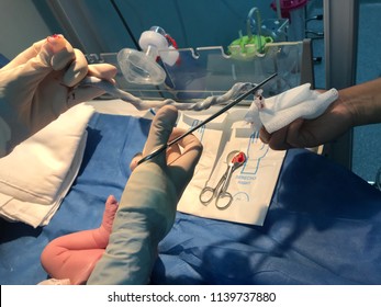 Taking A Blood Sample From The Umbilical Cord Of A New Born Baby