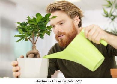 Taking Care Of A Bonsai