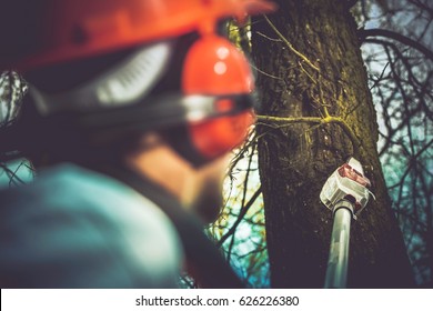 Taking Care Of Trees By Removing Damaged And Dead Tree Branches Using Electric Wood Cutter On Extended Pole. Professional Gardener Job.