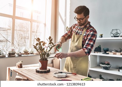 Taking Good Care Of Plants. Handsome Young Man In Apron Watering Potted Plant While Standing In Small Garden Center