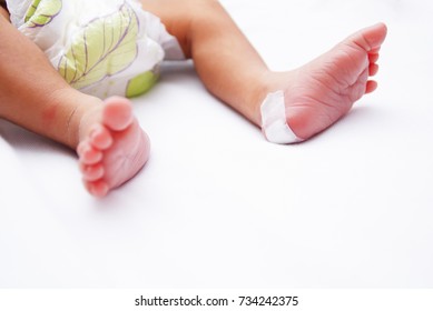 Taking A Heel Blood Sample From Newborn Baby