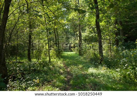 Taking a long stroll through the trails at the local farm in Southern Ohio.