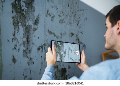 Taking Photo Of Home Wall Mold Damage Using Tablet