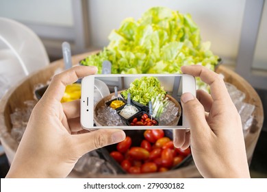 Taking Photo Of Salad Bar With Vegetables In The Restaurant