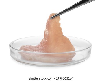 Taking raw cultured meat out of Petri dish with tweezers on white background