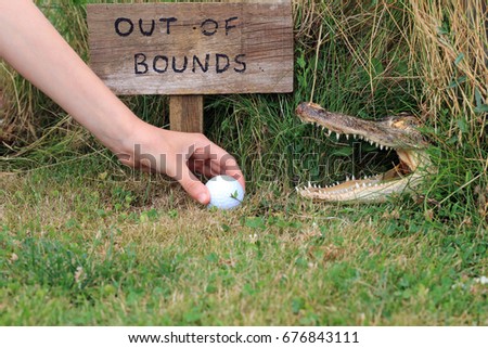 Taking A Risk Picking Up A Golf Ball After Being Hit Off Course And Landing In A Dangerous Area Out Of Bounds.