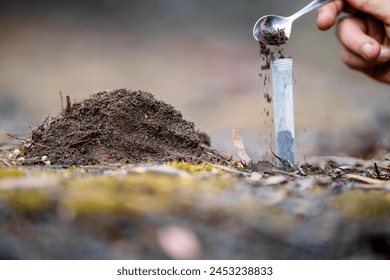 taking a soil sample for a soil test in a field. Testing carbon sequestration and plant health in australia