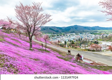 Takinoue Park High Res Stock Images Shutterstock