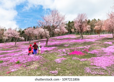 Takinoue Park High Res Stock Images Shutterstock