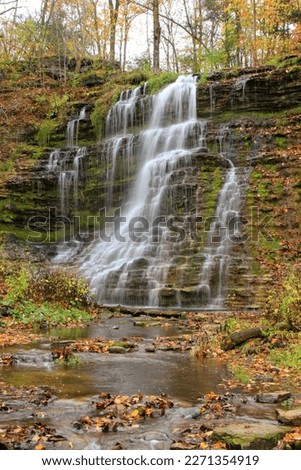 Talcott Falls in the fall, Adams NY